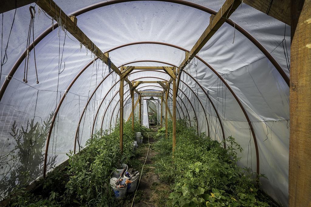 Earthship Patagonia Eco Accommodations El Bolsón Εξωτερικό φωτογραφία